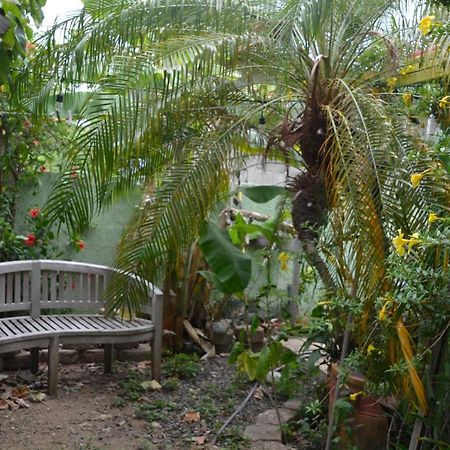 Palmetto Guesthouse Isla Culebra Kültér fotó