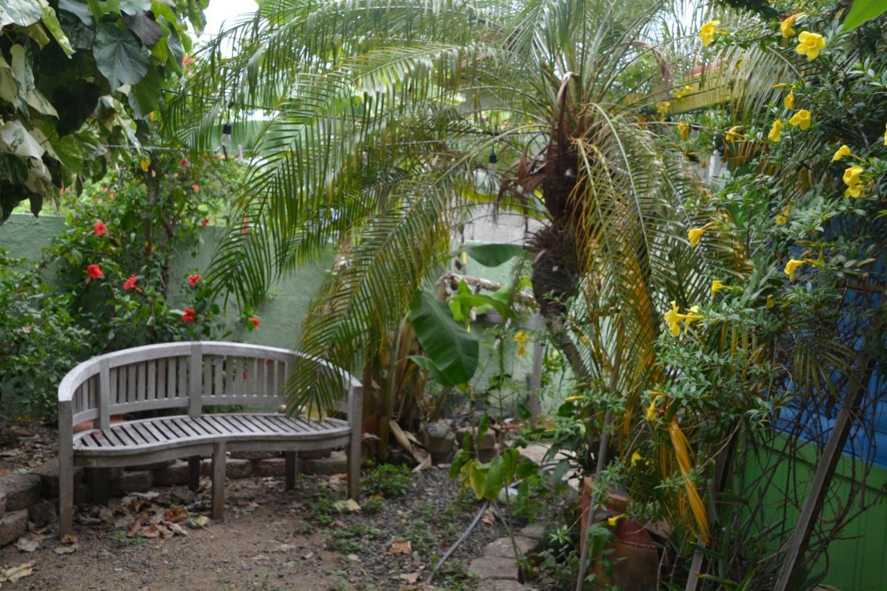 Palmetto Guesthouse Isla Culebra Kültér fotó