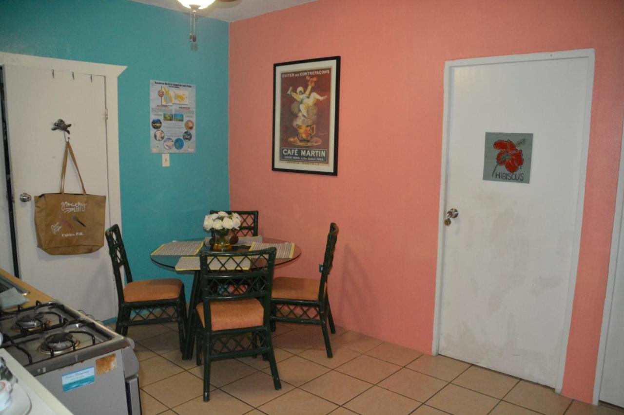 Palmetto Guesthouse Isla Culebra Kültér fotó