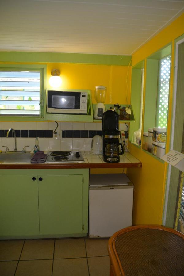 Palmetto Guesthouse Isla Culebra Kültér fotó